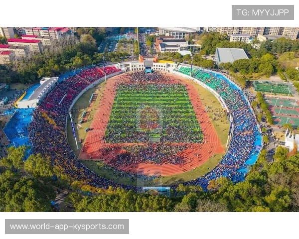 球迷文化研究项目发布深入分析地域性狂热现象，球迷聚集地